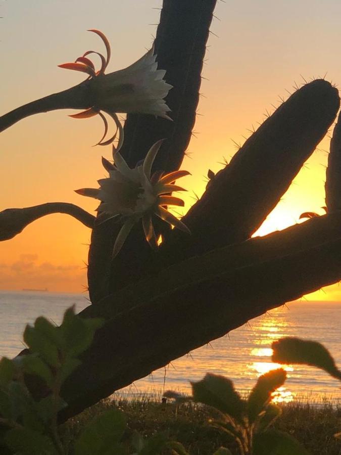 Flat Na Praia Da Costa 빌라베야 외부 사진